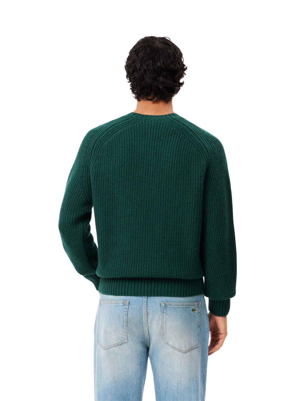 Maglione   Lacoste