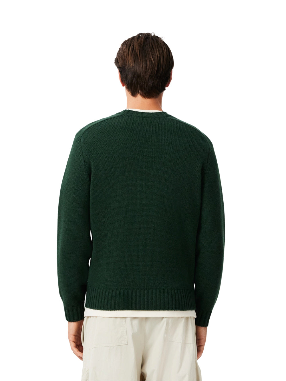 Maglione   Lacoste