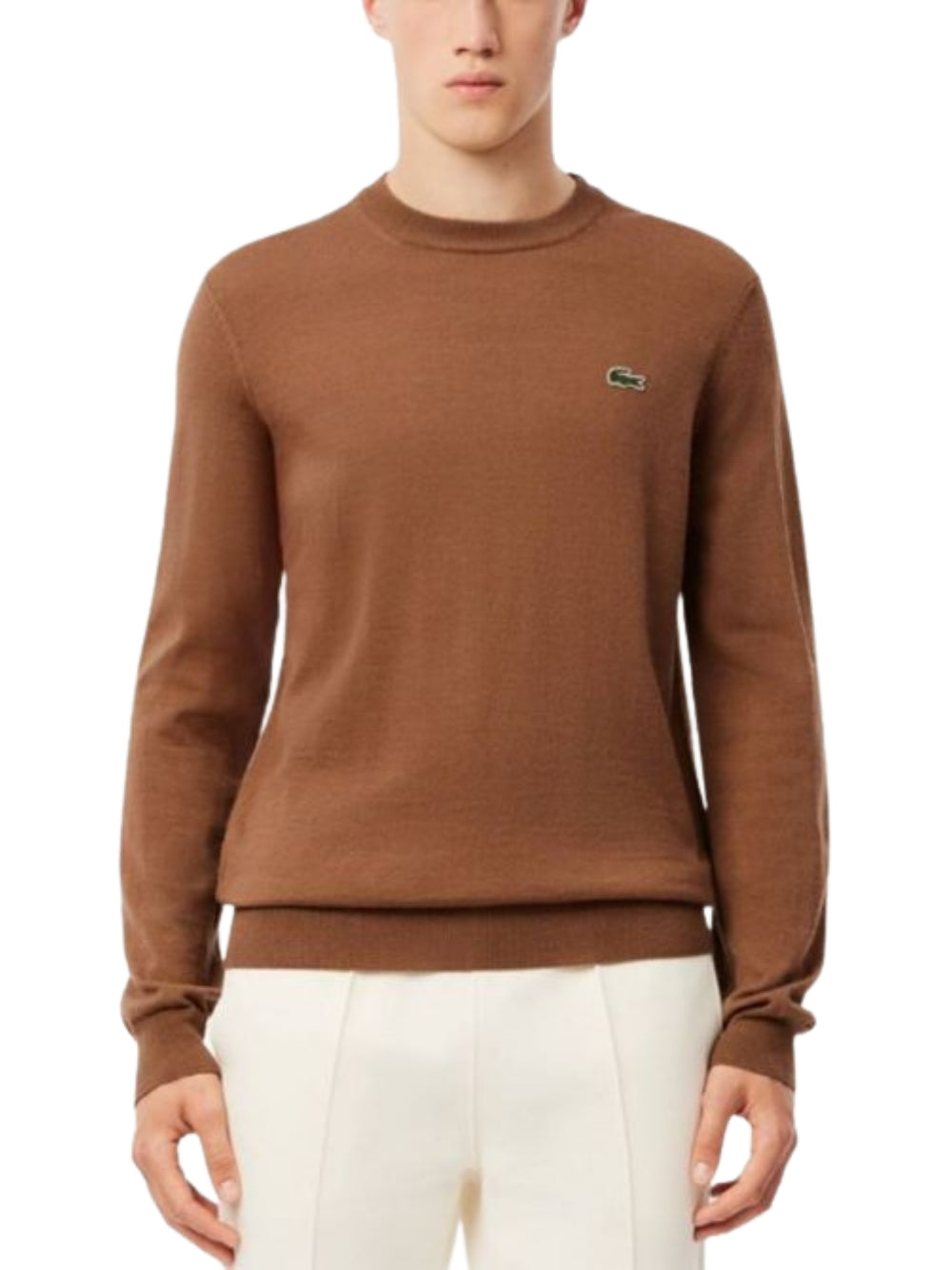 Maglione   Lacoste